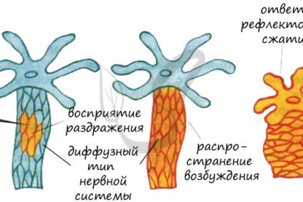 BlackSprut web