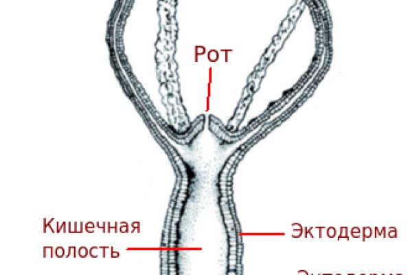 Kraken регистрация